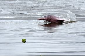 Yaku Amazon Lodge & Expeditions