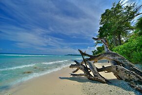 Sea Shell Samssara