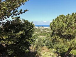 Terrazze sul Tirreno