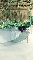 Belize Ecolution Adventures