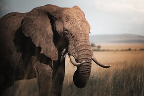 Mara Big Five Lodge