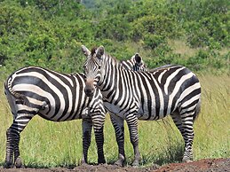 Mara Big Five Lodge