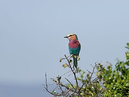 Mara Big Five Lodge