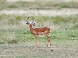 Mara Big Five Lodge
