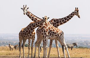 Mara Big Five Lodge