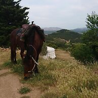 Yourte Nature Saint Roch