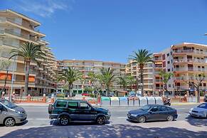 Alea Rentals - Cye