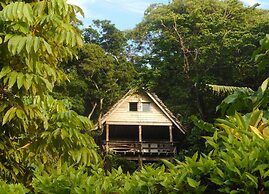 Treetops Lodge