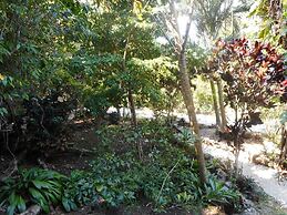 Treetops Lodge