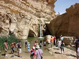 Villa Atlas Oasis