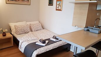 Sava Mala Apartment