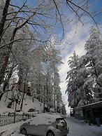 GreyVillas