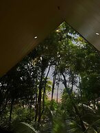 Los Vivos Beachfront Experience