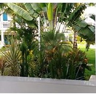 Beachfront Apartment facing Playa Popy