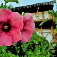 Hotelito Mio