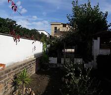 Dioscuri Townhouse