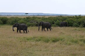 Drunken Elephant Mara