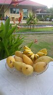 Longan Tree