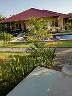 Longan Tree