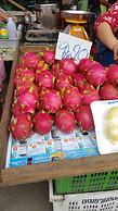 Longan Tree