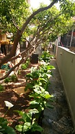 Villa George