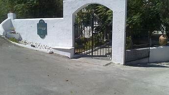 Anastasia's Garden