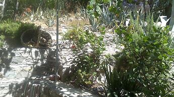 Anastasia's Garden