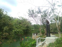 Tararine Homes