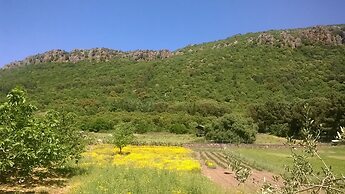 Locanda Minerva