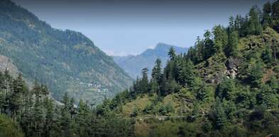 Wilderness Home Jibhi