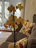 Flora Apartments