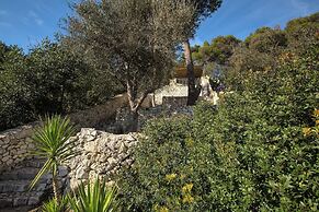 Pajara Acquaviva