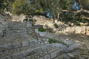 Pajara Acquaviva