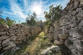 Pajara Acquaviva