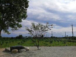 Rural Scenary Villa