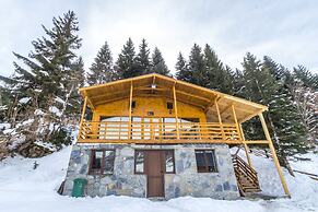 Mountain Cabins
