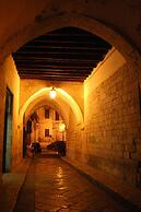 Domatia