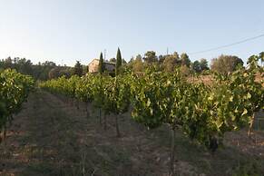 Celler Colltor