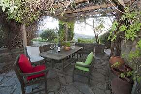 Celler Colltor