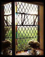 Kip in the Kirk