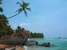 Vero Homestay
