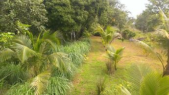 Camp Cabarita