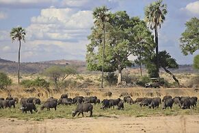 Ruaha Dream Villa