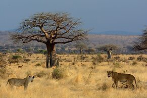 Ruaha Dream Villa
