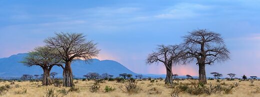 Ruaha Dream Villa