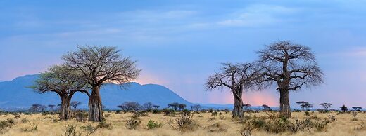 Ruaha Dream Villa