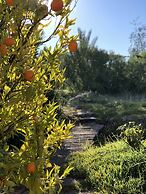 Les Jardins De Taja