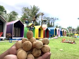 Lanzones Cabana