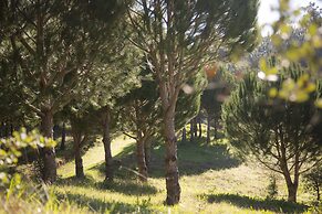 Quinta Camarena