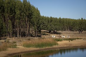 Quinta Camarena